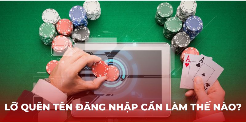 Lỡ quên tên đăng nhập cần làm thế nào?